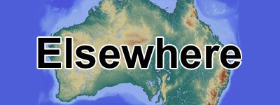 sports hats and caps for sale online