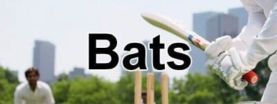 cricket bats, kookaburra bats, gray nicolls bats, new balance bats