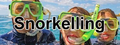 snorkel sets and snorkelling gear in coffs harbour, grafton, lismore and ballina, plus dive fins