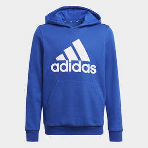 Adidas Big Logo Hoody Kids