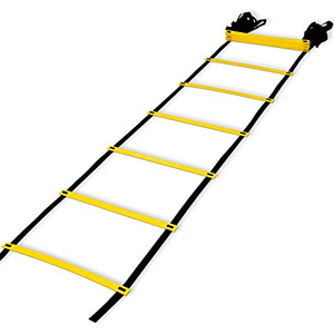 Regent Speed Ladder 4.5M