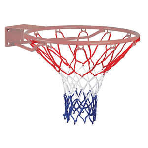 Regent Basketball Net