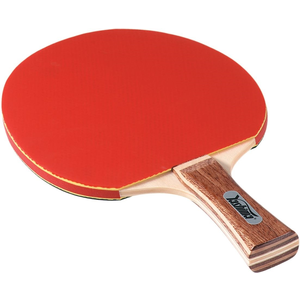 All-Round Table Tennis Bat