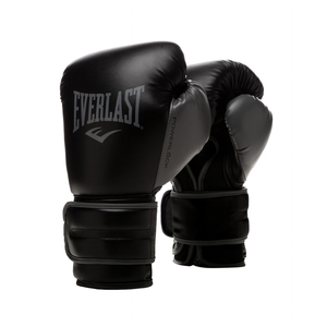 Everlast Powerlock 2 Boxing Training Glove