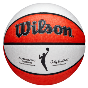 Wilson WNBA Authentic Inside-Outside Basketball Sz 6