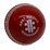 Gray Nicolls Wonderball Red