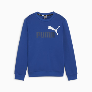 Essentials+ Two-Tone Big Logo Crew Neck Sweater Youth 