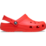 starfish