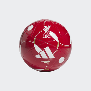 Adidas Mini Soccer Ball 
