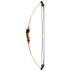 Barnett Wildhawk Compound Archery Bow