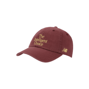Ndw Balance 6 Panel The Intelligent Choice Hat