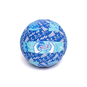  Cooee Beach Volleybal