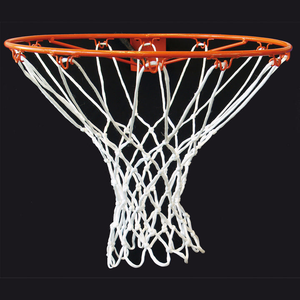 Regent Basketball Net