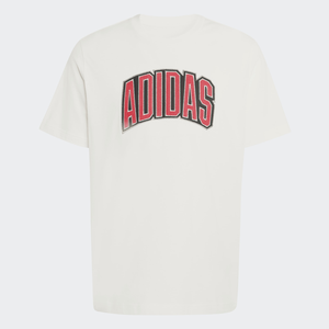 Adidas Stadium Collegiate Graphic T-shirt Mens