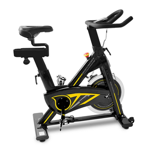 Bodyworx ASB600 Indoor Spin Bike
