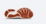 Sole