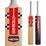 Gray Nicolls Vector SuperBlade Cricket Bat Youth