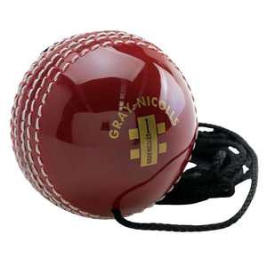 Gray Nicolls Batting Master Cricket Ball