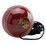 Master Ball
