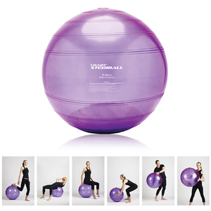 Loumet Stediball (self-righting fitball/gymball/swiss-ball)