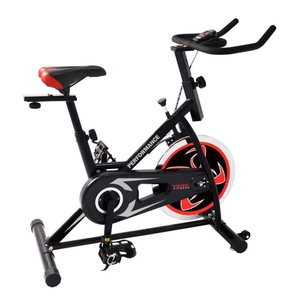 York Performance Speed Spin bike