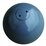 Blue 2kg shotput